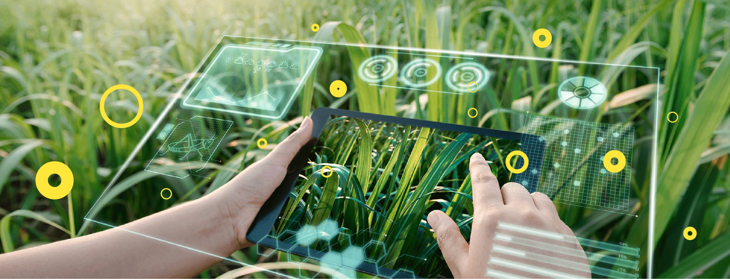 Masa Depan IT dalam Pertanian (AgriTech)